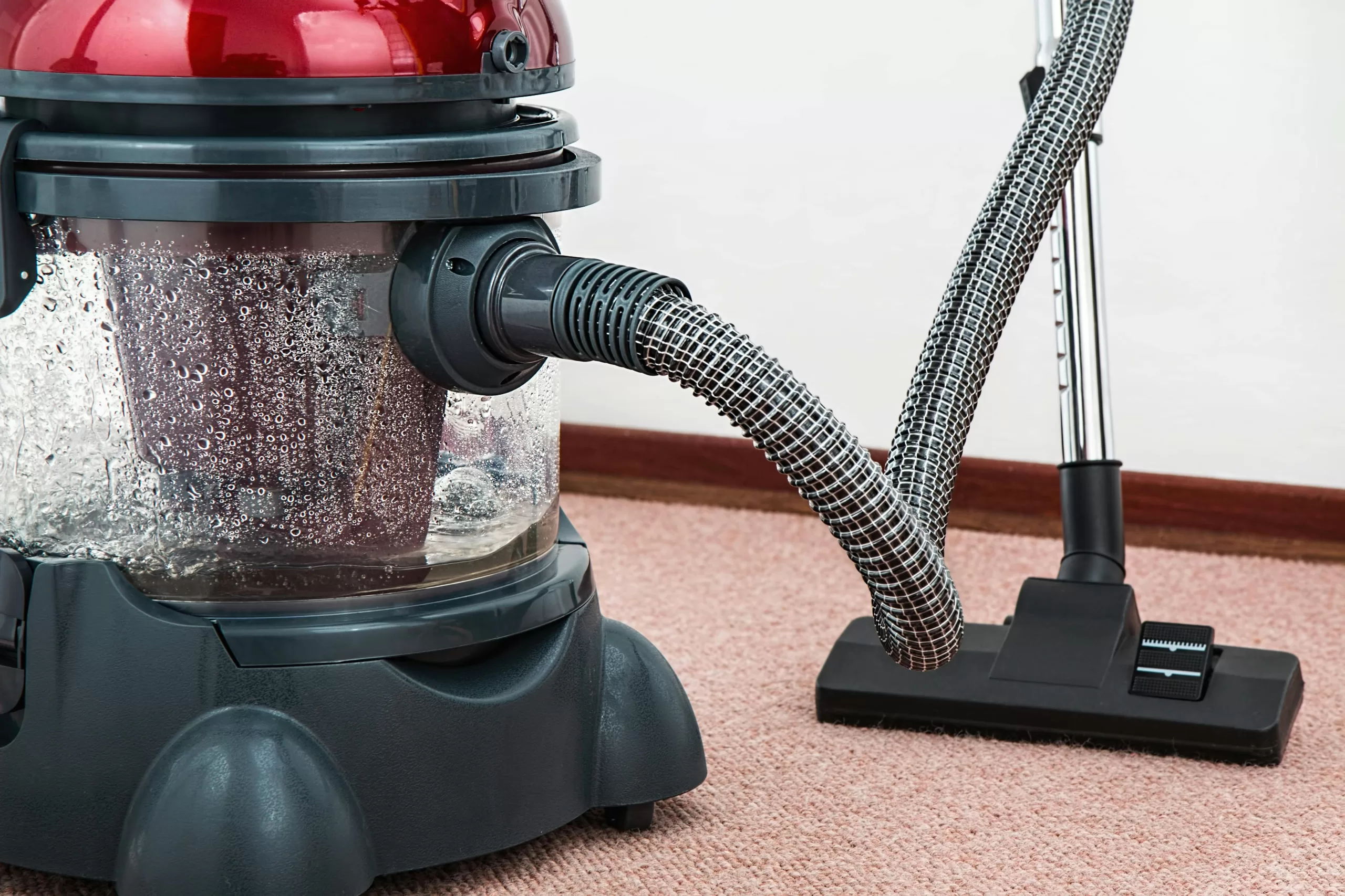The Best Vacuums for Carpet Cleaning in South Africa Your Ultimate
